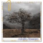 Recomendado: El olvido del nunca