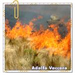 Recomendado: Hasta el humo se hace humo