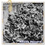 Recomendado: Holocausto