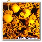 Recomendado: Justicia madre