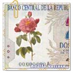 Recomendado: La rosa sin due&ntilde;o