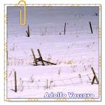 Recomendado: Los ancianos