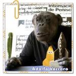 Recomendado: Los palmeras