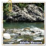 Recomendado: Ortopedia