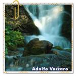 Recomendado: Torrente