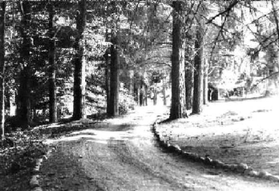 Camino