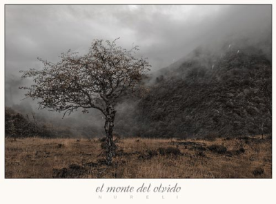 El-olvido-del-nunca