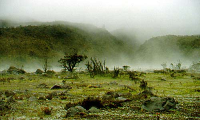 El-páramo