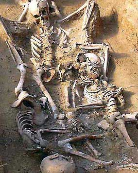 Cancelación-por-falta-de-pago Cancelación-por-falta-de-pago