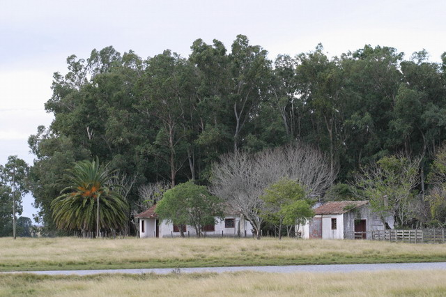 De-una-sola-querencia De-una-sola-querencia