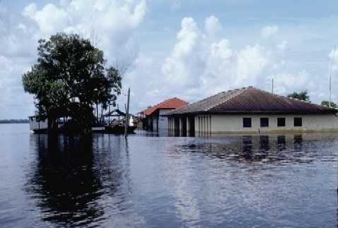 Inundación Inundación