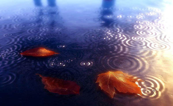 A-mi-amigo A-mi-amigo