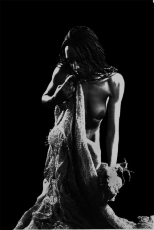 El-zaguán El-zaguán