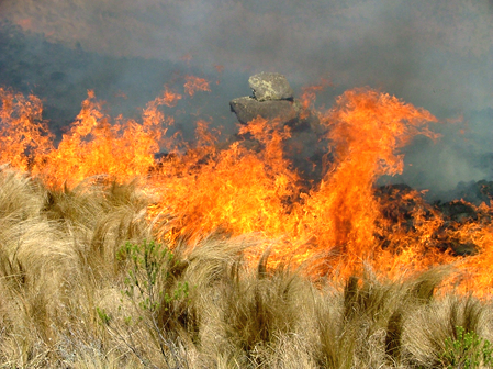 Hasta-el-humo-se-hace-humo Hasta-el-humo-se-hace-humo