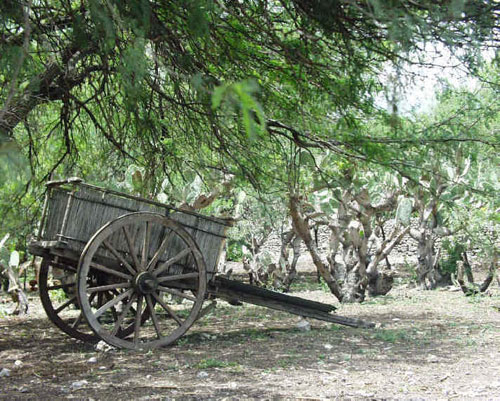 Vieja-carreta Vieja-carreta